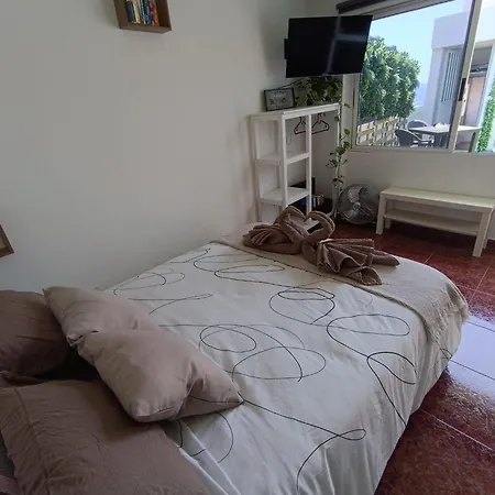 Apartament Avec Terrasse Et Vue